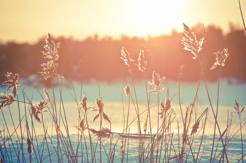 黄豆芽炒藕歇后语23句