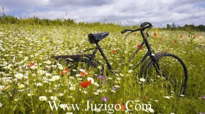 ​喜欢一人的qq签名41句