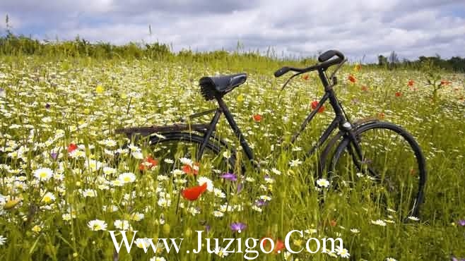 喜欢一人的qq签名41句