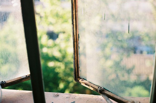 适合一年级小学生谚语83句