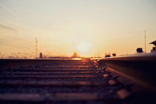 公司植树谚语73句