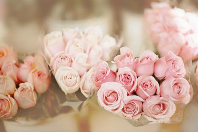 ​做事专心的英语谚语