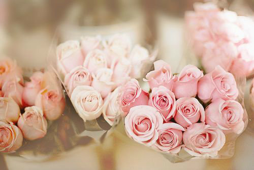 做事专心的英语谚语