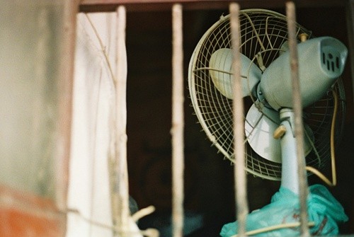 公鸡难下蛋歇后语28句