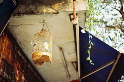 ​调控情绪的谚语或俗语28句