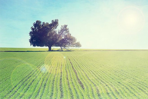 有关土壤的谚语30句