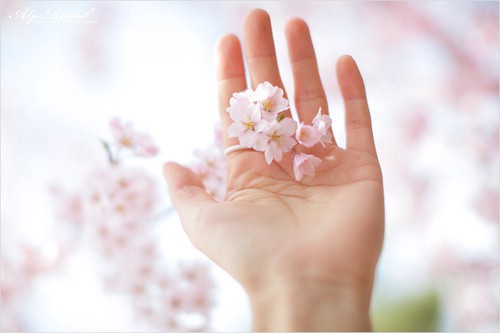 火红拟人句13句