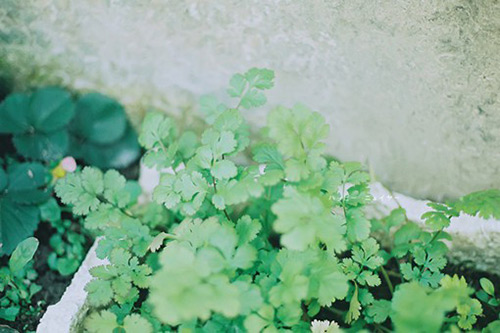 曹操败走华容道歇后语22句