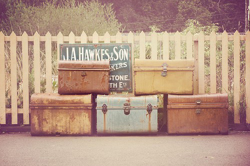 有关蜻蜓的比喻句11句