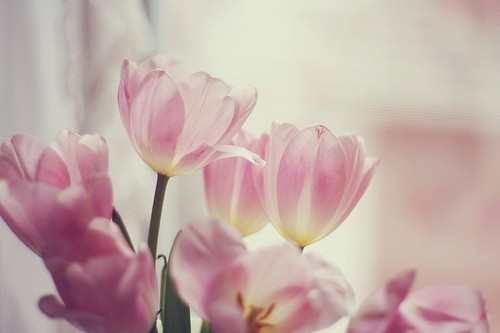 芝麻地里的绿豆歇后语20句