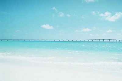 ​针对小三的个性签名微信个性签名小三(精选36句)