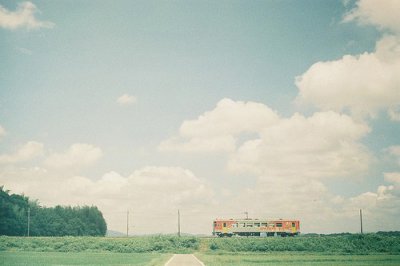 ​蛐蛐的拟人句25句