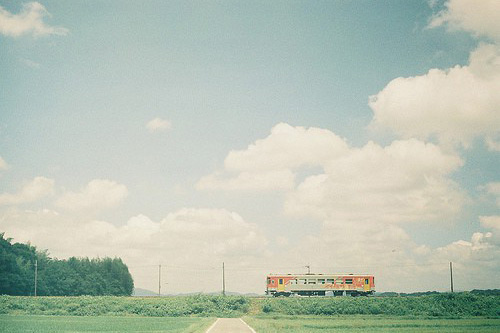 蛐蛐的拟人句25句