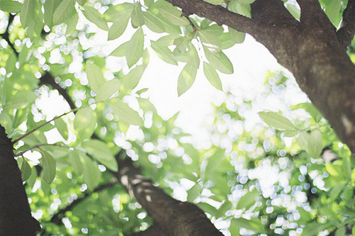 立秋农事谚语36句