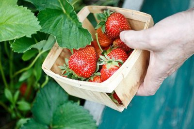 ​励志梦想押韵唯美好句愿梦想成真的唯美句子(精选71句)