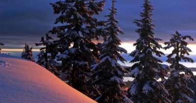 ​关于坚定信念的励志句子