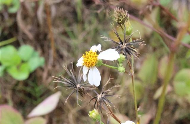 送给不懂尊重人的说说 做人要相互尊重的句子