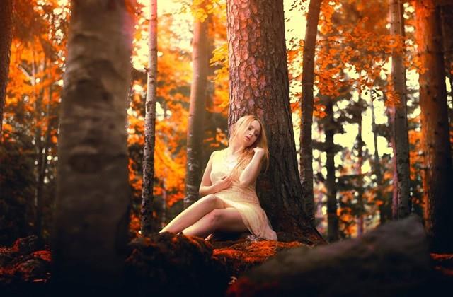 描写鸟类的句子