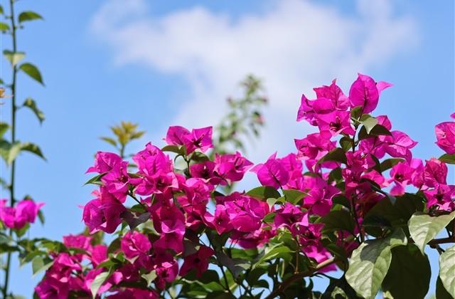 适合发朋友圈的走心句子短句