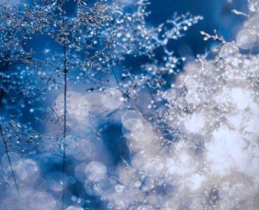 ​qq心情说说优美句子早安语