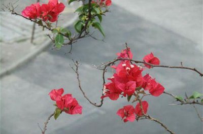 ​平安夜给情人的励志名言语句(平安夜给情人发多少红包)