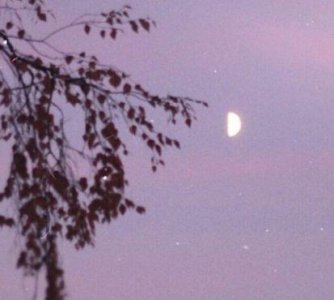 ​简洁的心情伤感句子100条