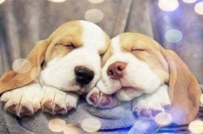 ​青春唯美励志句子说说心情