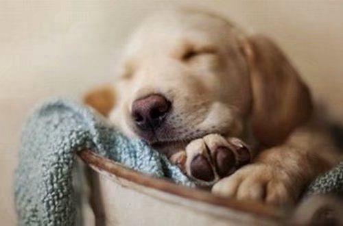 通用伤感爱情句子摘录58条