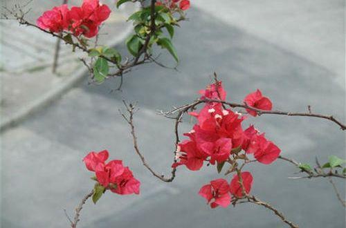 【推荐】奋斗励志的句子合集59条