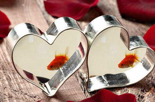 2025年常用伤心爱情句子锦集35条