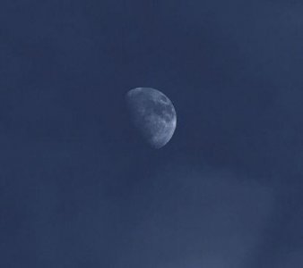 ​网络爱情句子98条