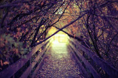 ​九月再见十月你好心情文案唯美句子(精选95句)