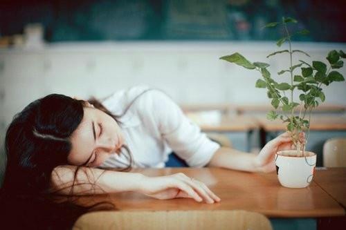 对爱情的人生感悟句子