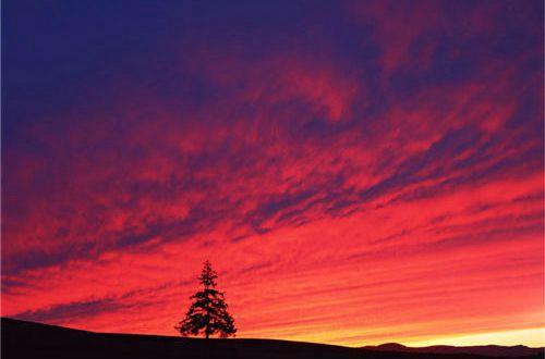 2025你好励志微信唯美的句子