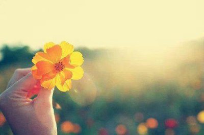 ​关于技能的励志句子39句