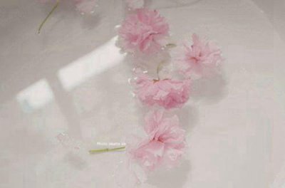 ​成功的句子励志的