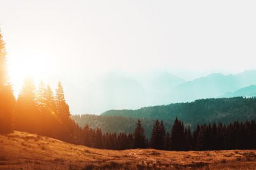 简短励志的微信说说心情句子