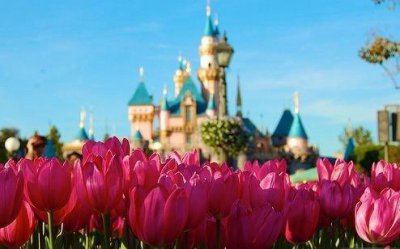 ​简单的励志句子56条