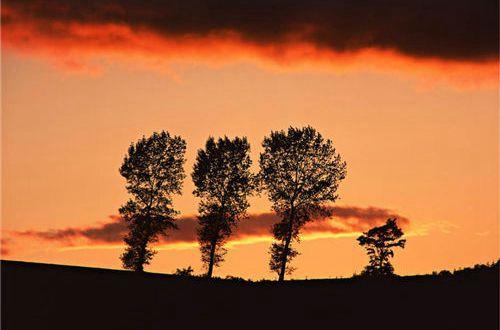 那伤感到心酸的爱情句子