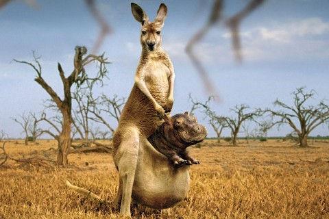 伤感疲惫的爱情语录