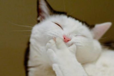 ​抖音两个女儿的心情说说文案(精选78句)