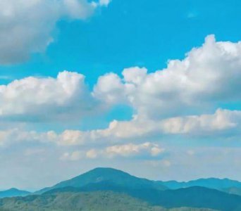 ​让人有好心情的句子