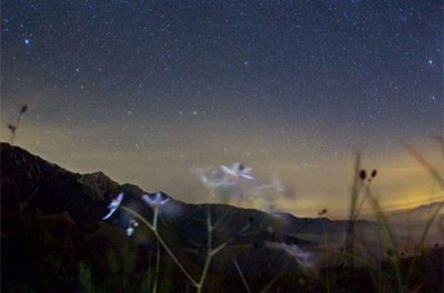 ​正能量励志语句摘录100条