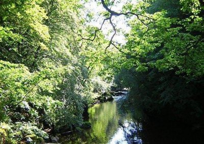 ​2025年美好心情文案短句(51句)