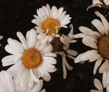 ​一句话经典心情签名116句