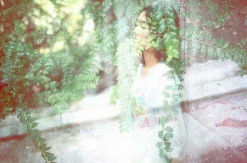 纳兰容若的爱情句子