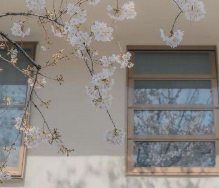 心情低落说说发朋友圈 心情说说很现实的说说