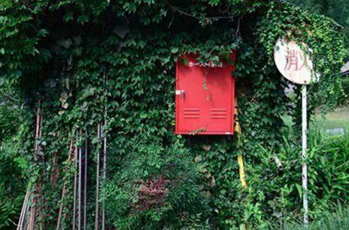 2015青春人生感悟经典句子