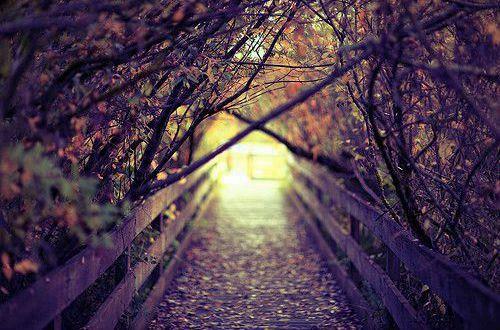 形容张国荣的优美经典句子17条