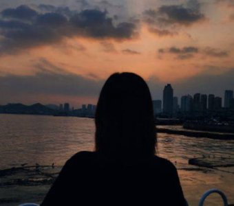 ​歌颂无私奉献的经典句子(精选31句)